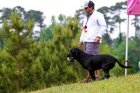 SUPER RETRIEVER SERIES MAY 2018