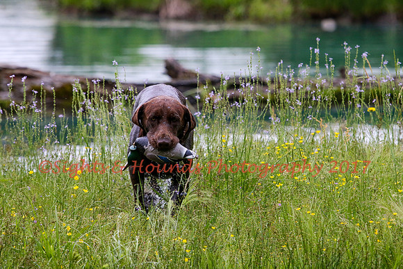 SUPER RETRIEVER SERIES MAY 2018