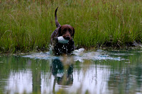 SUPER RETRIEVER SERIES MAY 2018