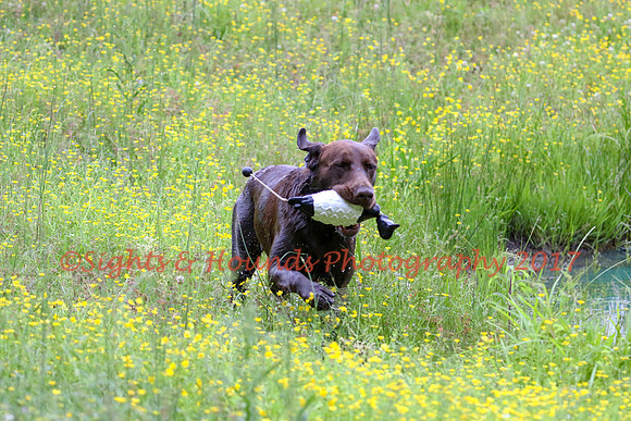 SUPER RETRIEVER SERIES MAY 2018