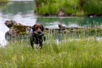 SUPER RETRIEVER SERIES MAY 2018