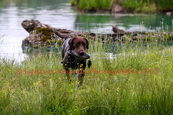 SUPER RETRIEVER SERIES MAY 2018