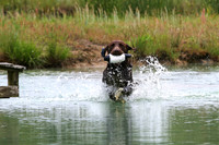 SUPER RETRIEVER SERIES MAY 2018