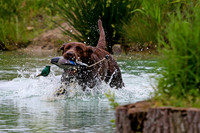 SUPER RETRIEVER SERIES MAY 2018