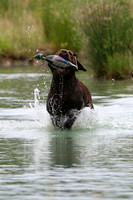 SUPER RETRIEVER SERIES MAY 2018