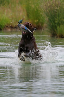 SUPER RETRIEVER SERIES MAY 2018