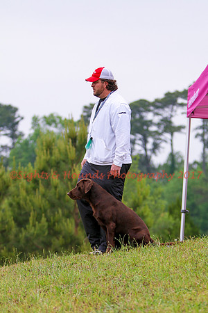 SUPER RETRIEVER SERIES MAY 2018