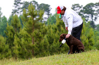 SUPER RETRIEVER SERIES MAY 2018