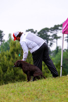 SUPER RETRIEVER SERIES MAY 2018
