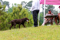 SUPER RETRIEVER SERIES MAY 2018