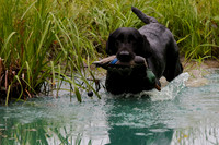 SUPER RETRIEVER SERIES MAY 2018