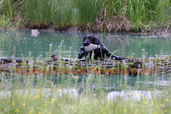 SUPER RETRIEVER SERIES MAY 2018