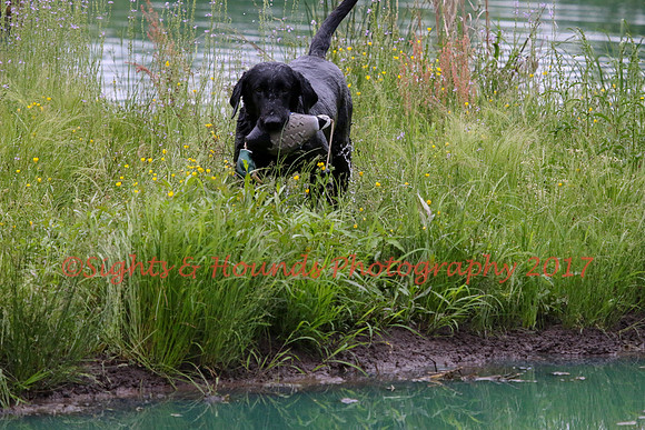 SUPER RETRIEVER SERIES MAY 2018