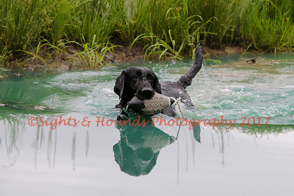 SUPER RETRIEVER SERIES MAY 2018