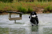 SUPER RETRIEVER SERIES MAY 2018