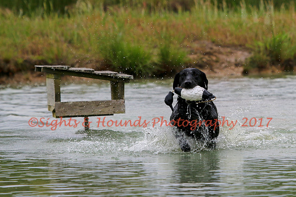 SUPER RETRIEVER SERIES MAY 2018