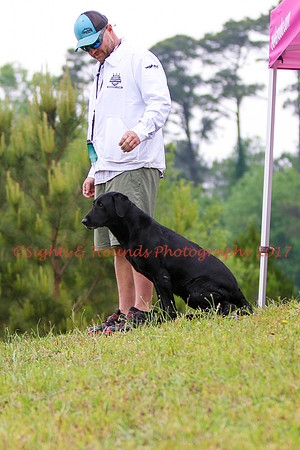 SUPER RETRIEVER SERIES MAY 2018