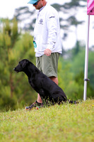 SUPER RETRIEVER SERIES MAY 2018