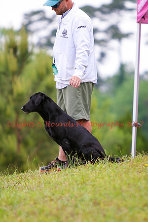 SUPER RETRIEVER SERIES MAY 2018