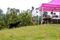 SUPER RETRIEVER SERIES MAY 2018