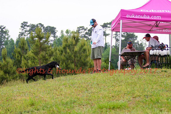 SUPER RETRIEVER SERIES MAY 2018