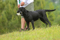 SUPER RETRIEVER SERIES MAY 2018
