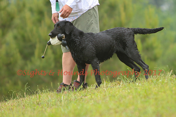 SUPER RETRIEVER SERIES MAY 2018