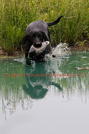 SUPER RETRIEVER SERIES MAY 2018