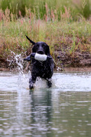 SUPER RETRIEVER SERIES MAY 2018
