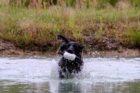 SUPER RETRIEVER SERIES MAY 2018