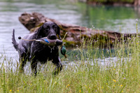 SUPER RETRIEVER SERIES MAY 2018