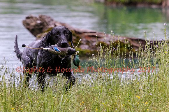 SUPER RETRIEVER SERIES MAY 2018