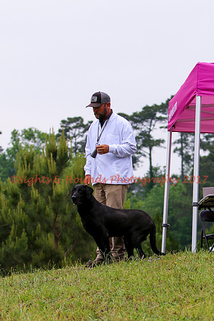 SUPER RETRIEVER SERIES MAY 2018