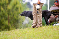 SUPER RETRIEVER SERIES MAY 2018