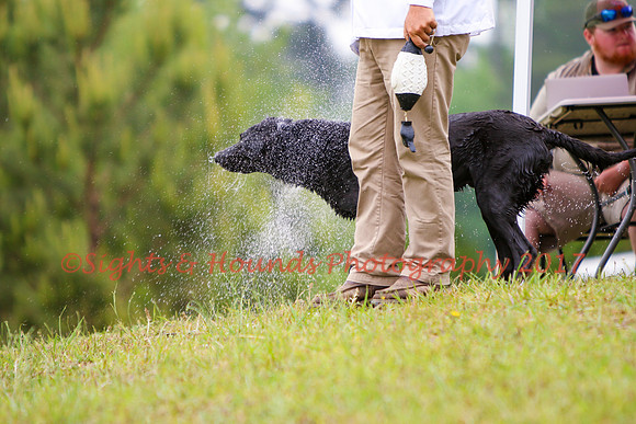 SUPER RETRIEVER SERIES MAY 2018