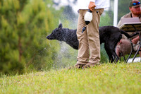 SUPER RETRIEVER SERIES MAY 2018