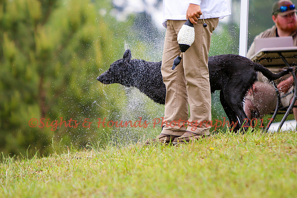 SUPER RETRIEVER SERIES MAY 2018