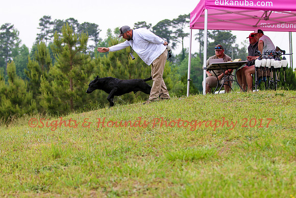 SUPER RETRIEVER SERIES MAY 2018