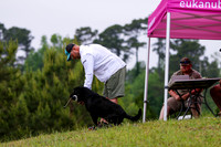 SUPER RETRIEVER SERIES MAY 2018