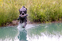 SUPER RETRIEVER SERIES MAY 2018