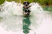 SUPER RETRIEVER SERIES MAY 2018