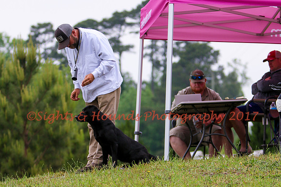SUPER RETRIEVER SERIES MAY 2018