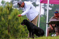 SUPER RETRIEVER SERIES MAY 2018