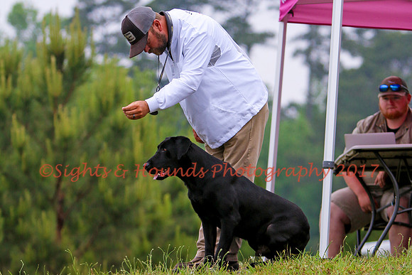 SUPER RETRIEVER SERIES MAY 2018