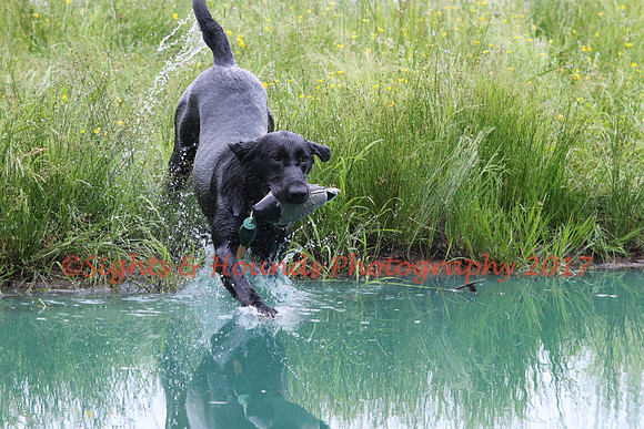 SUPER RETRIEVER SERIES MAY 2018