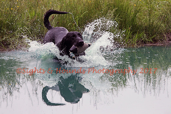 SUPER RETRIEVER SERIES MAY 2018
