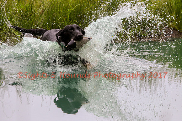 SUPER RETRIEVER SERIES MAY 2018