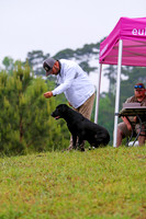 SUPER RETRIEVER SERIES MAY 2018