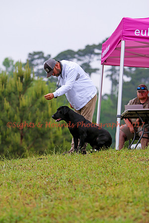 SUPER RETRIEVER SERIES MAY 2018