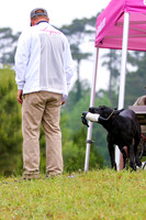 SUPER RETRIEVER SERIES MAY 2018